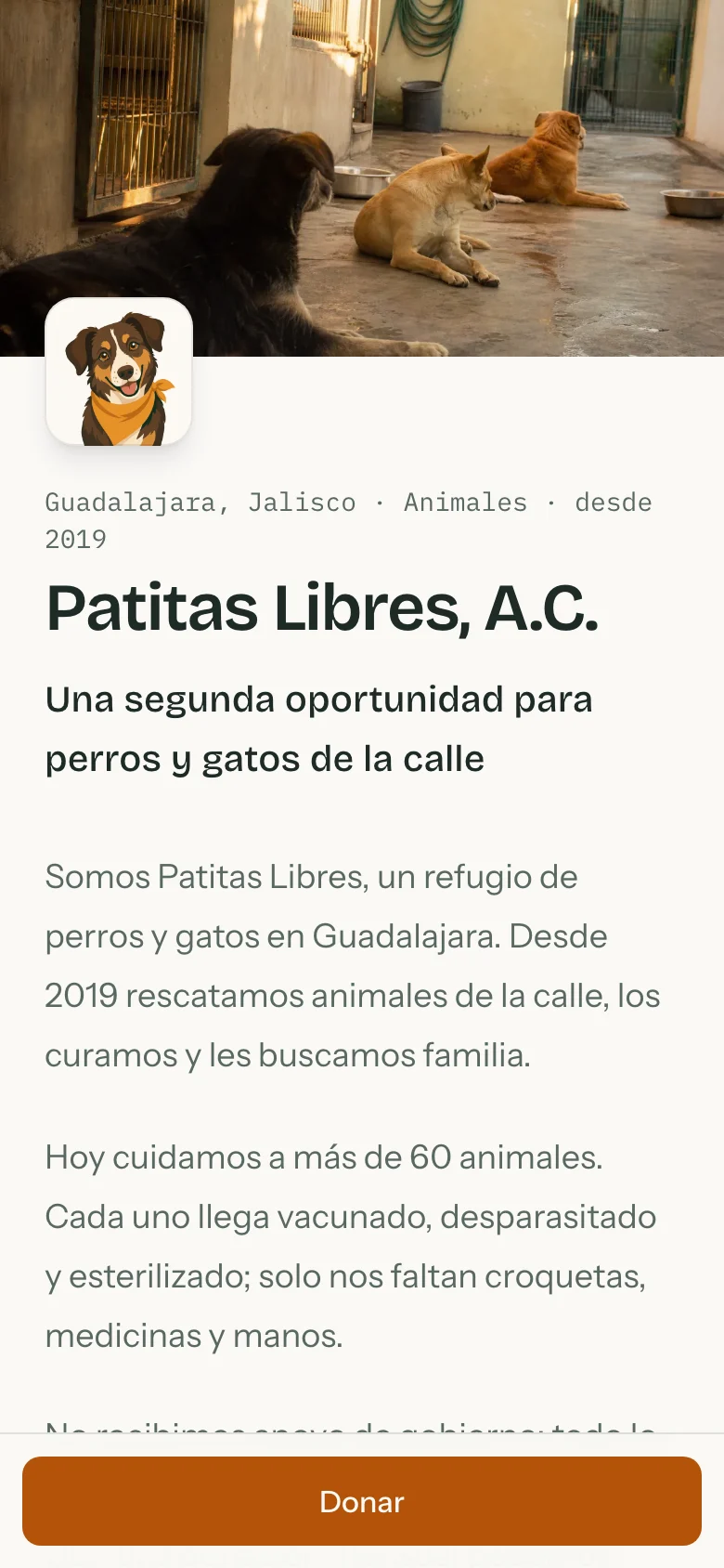 Página pública en un celular con el bloque para donar